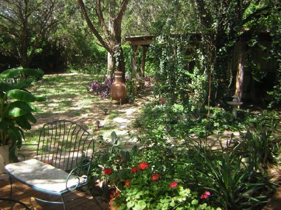 Casa del Sol Bed&Breakfast Lakeway Quarto foto