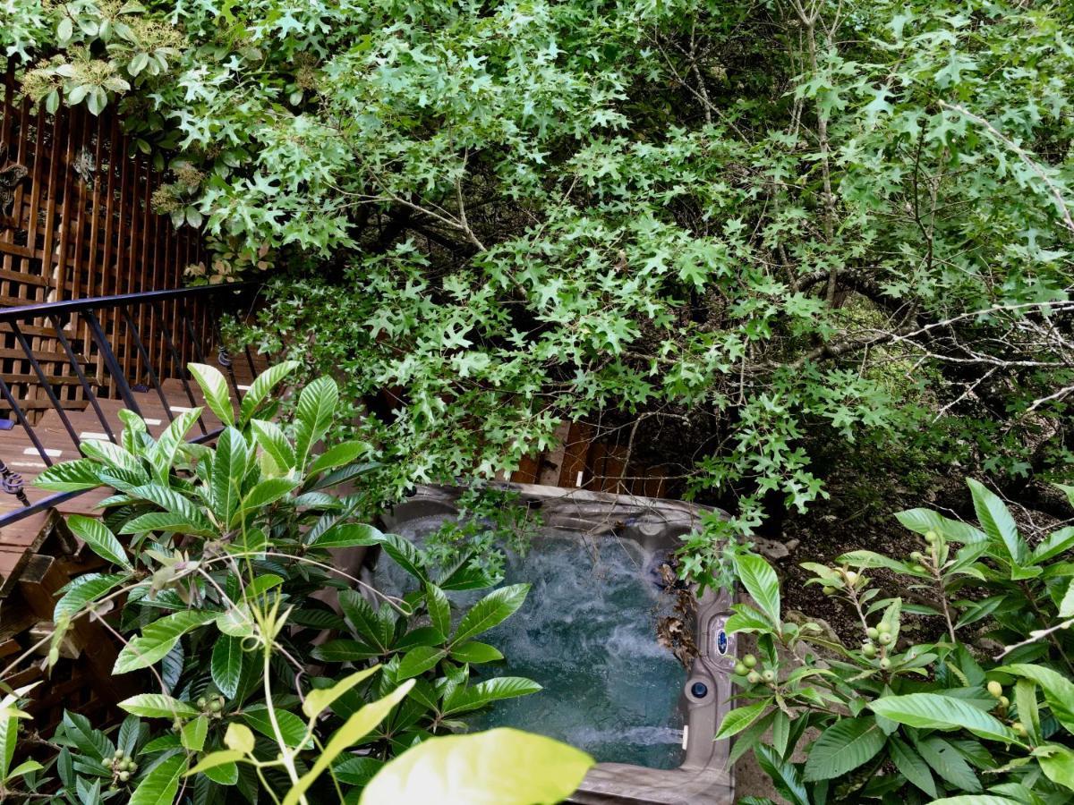 Casa del Sol Bed&Breakfast Lakeway Exterior foto